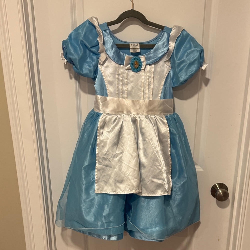 Blue and White Kids Alice in Wonderland Costume